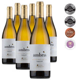 TORRE BISENZIO - AMBRIS 2022