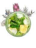 Lime Basil Gin - 25%