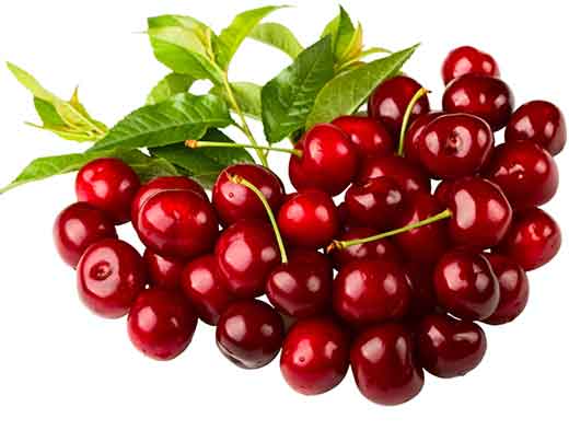 cherry balsam vinegar from Modena Italy