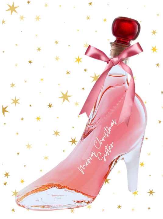 Merry Christmas Sister's Gift - Stiletto Shoes with Pink Gin 350ml