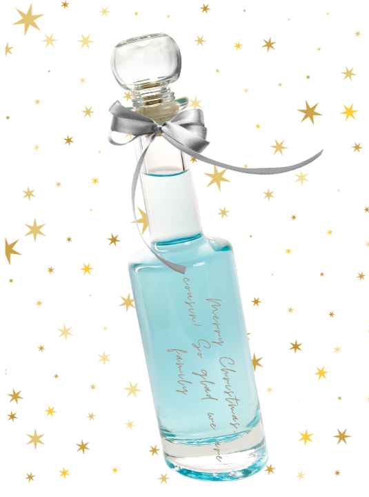 Merry Christmas Cousins Gift - Bounty with Blue Sapphire Vodka 37.5%ABV