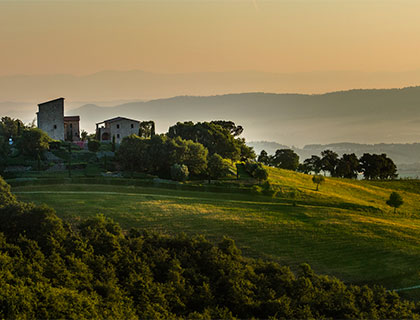 IL GUSTO UK