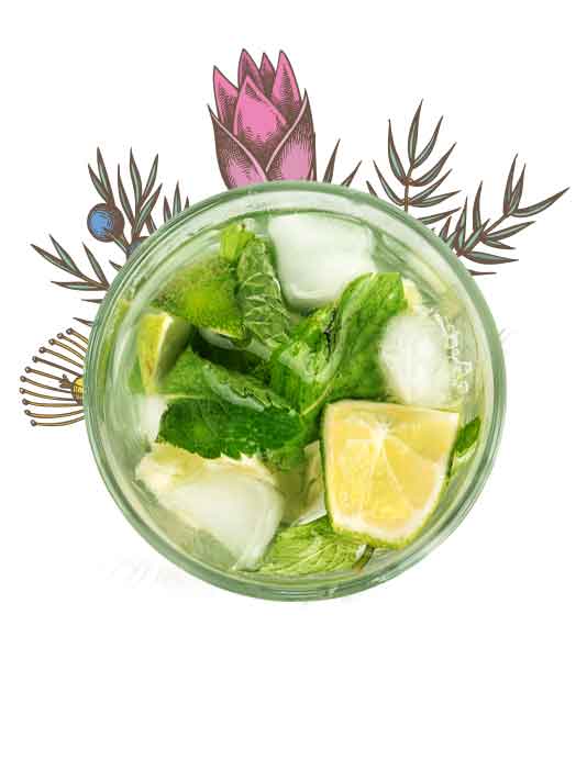 Lime Basil Gin - BFCM OFFER : GET 1Ltr FOR THE PRICE OF 500ml