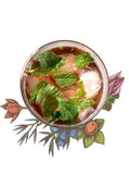 Sloe Gin - 25%