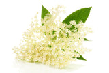 Elderflower Liqueur - 18%