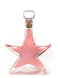 Star With Winter Spiced Pink Gin - 40%